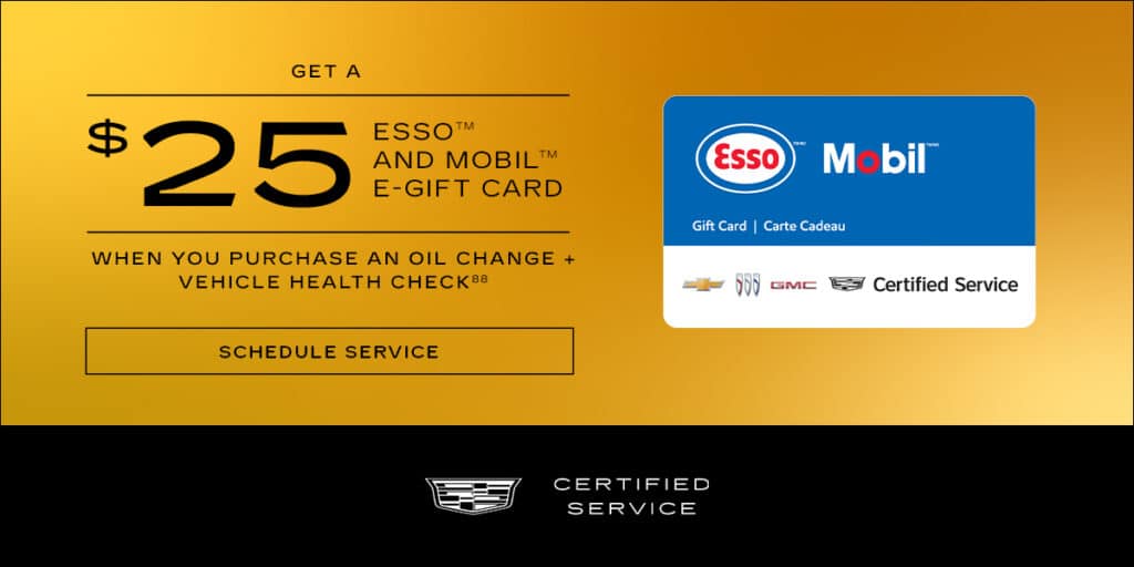 GET A $25 ESSO AND MOBILE E-GIFT CARD WHEN YOU PURCHASE AN OIL CHANGE + VEHICLE HEALTH CHECK*