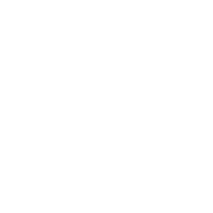 An icon representing a vehicle's brake disc and caliper.