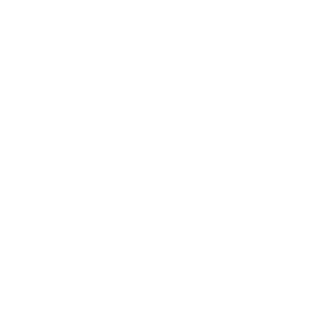 The icon of a car battery with plus (+) and minus (-) signs.