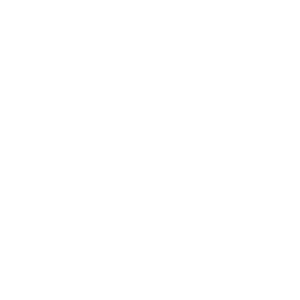 An icon representing a car's tire and rim.