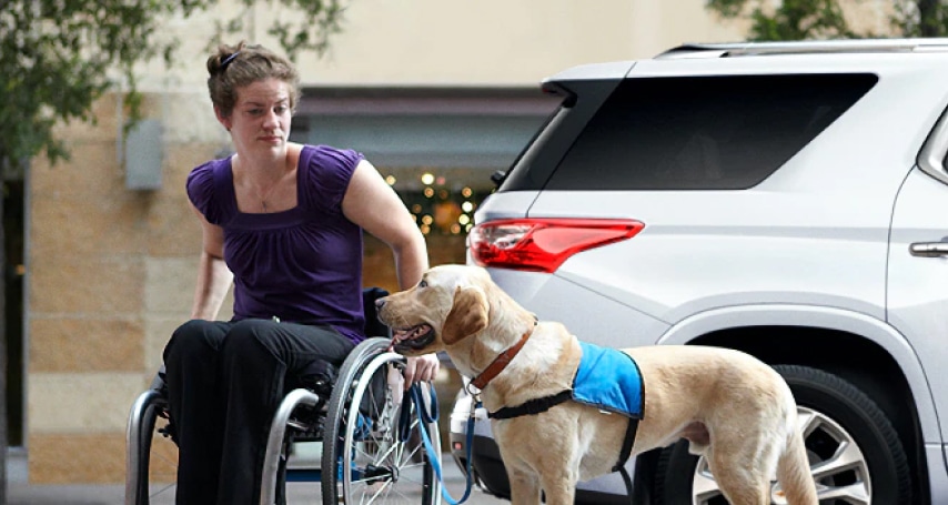 Woman in wheelchair with service dog beside a car on a city street.